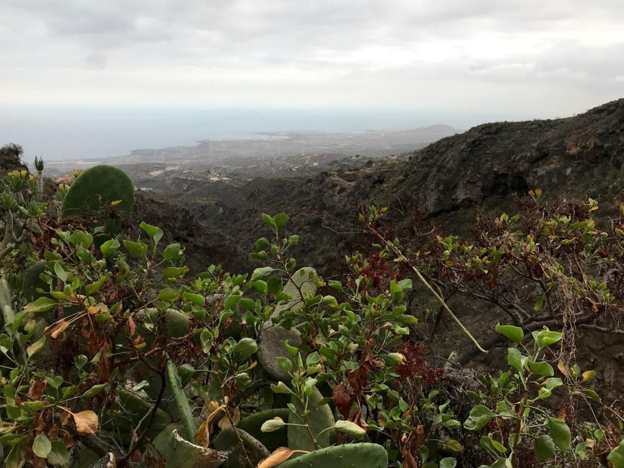Finca Las Polinarias Casa Cueva En Fasnia Santa Cruz de Tenerife Eksteriør bilde
