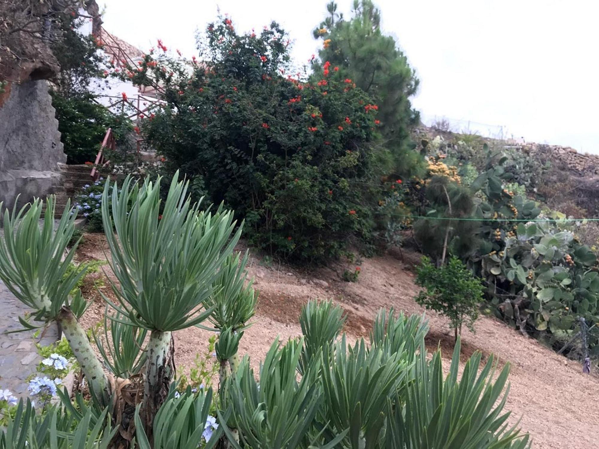 Finca Las Polinarias Casa Cueva En Fasnia Santa Cruz de Tenerife Eksteriør bilde