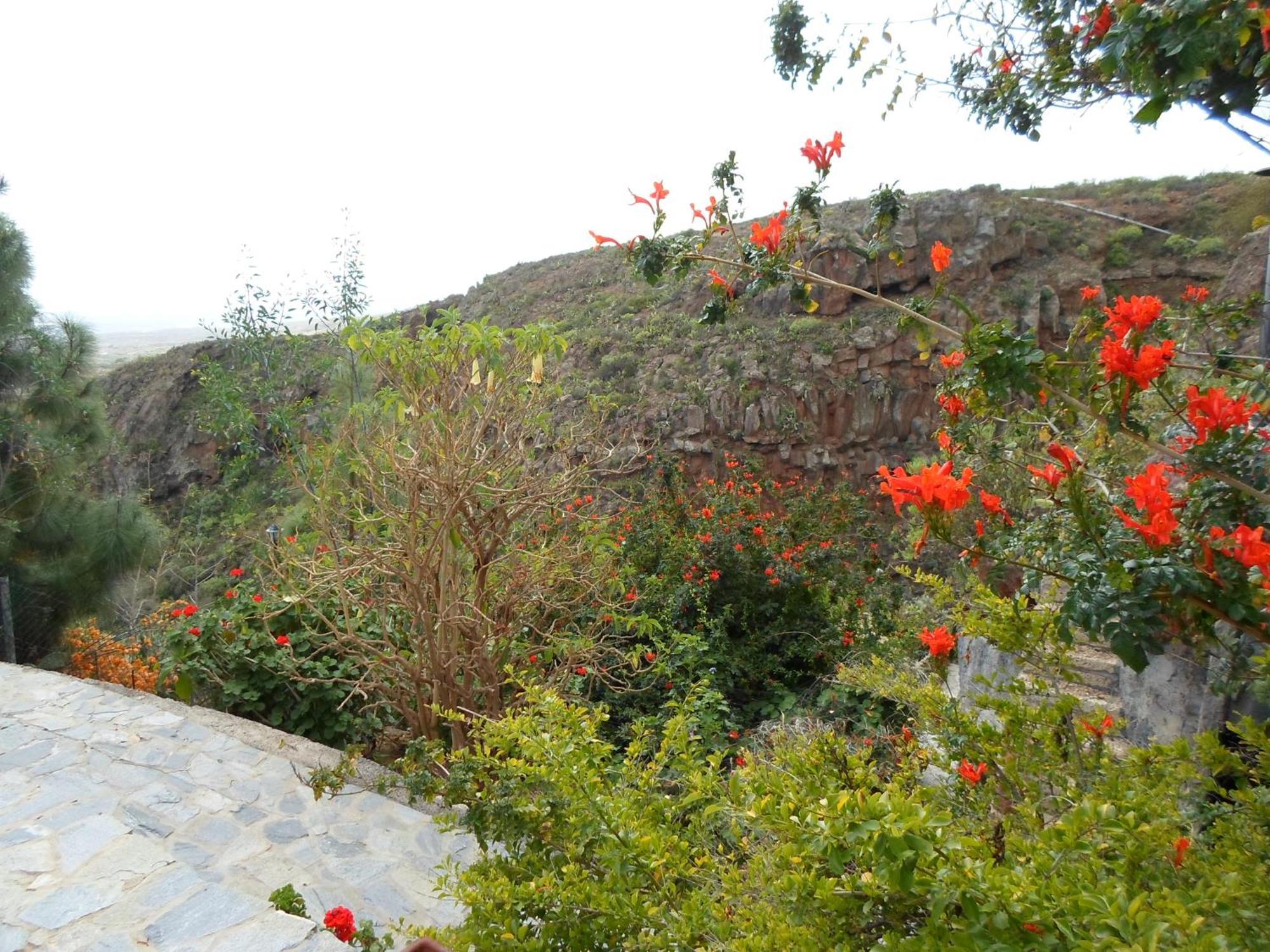 Finca Las Polinarias Casa Cueva En Fasnia Santa Cruz de Tenerife Eksteriør bilde
